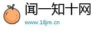 闻一知十网